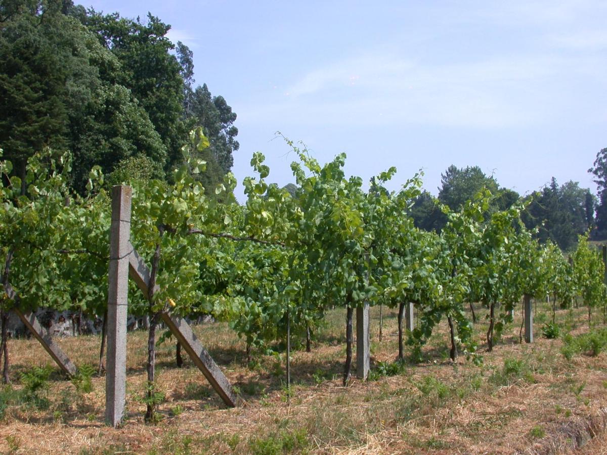 Quinta Da Tapada Lousada Exterior photo