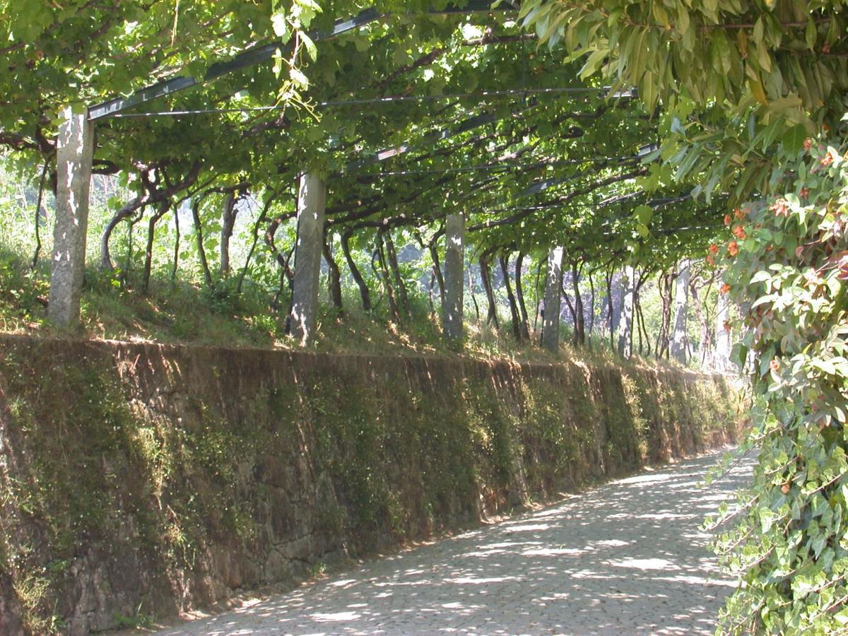Quinta Da Tapada Lousada Exterior photo