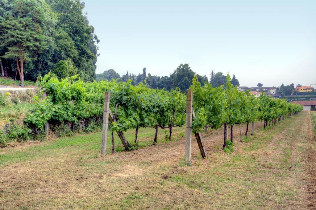 Quinta Da Tapada Lousada Exterior photo